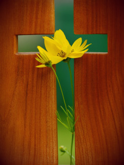 kreuz