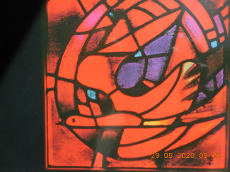 Taizé Taube